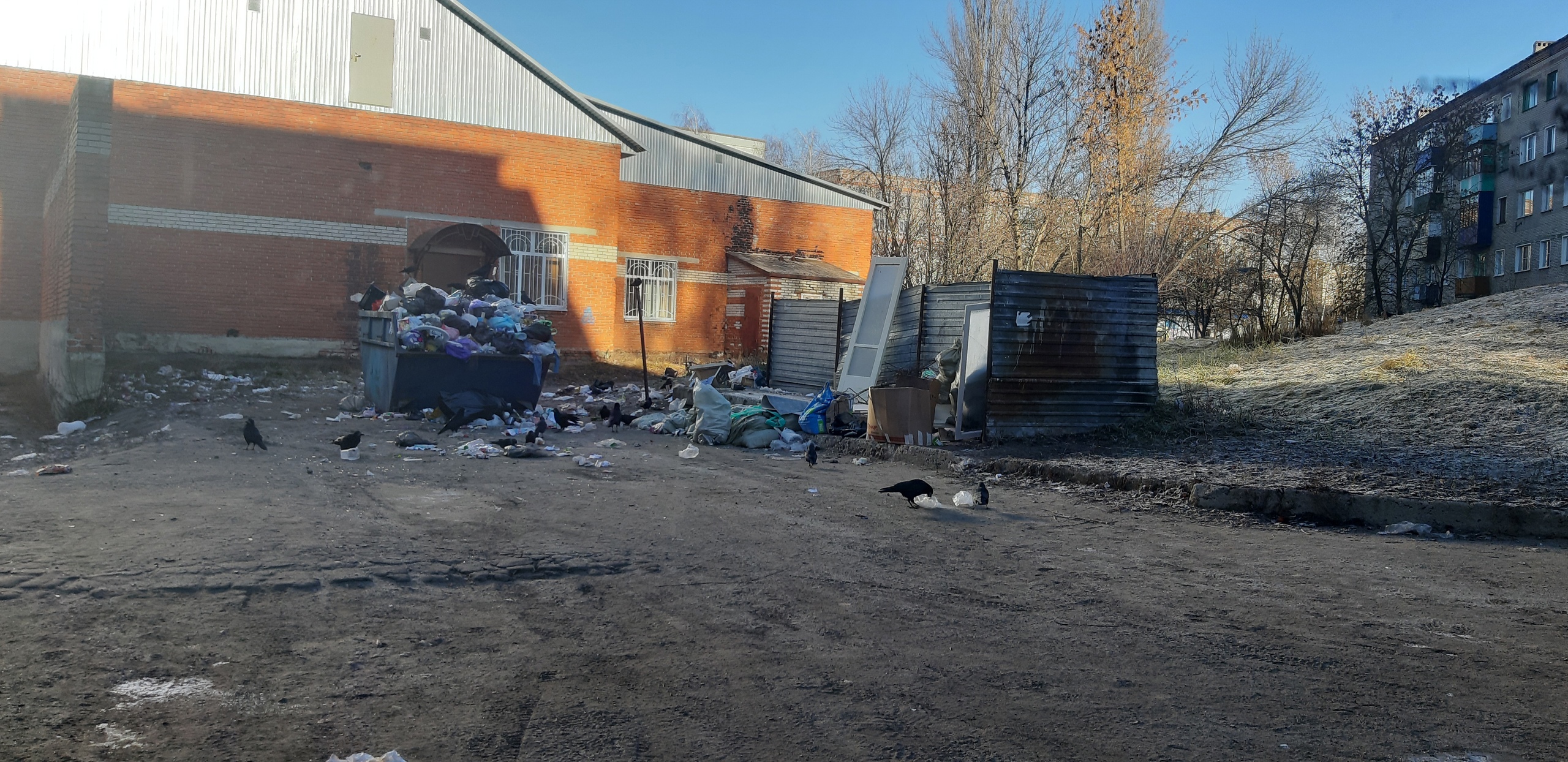 Жители Сердобска заявили о том, что тонут в мусоре