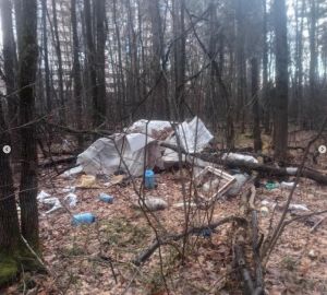 Пензенца возмутило соседство с «бомжовой усадьбой»