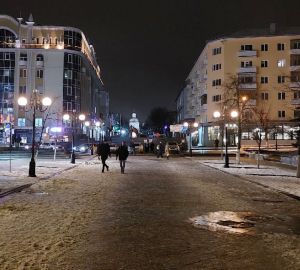 Пензенцы усомнились в безопасности смеси, которой посыпают дороги от гололеда