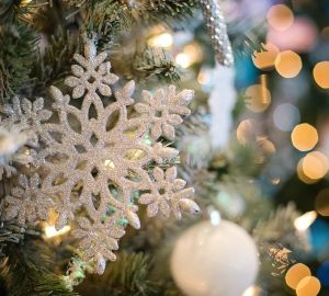 Жительница Пензы осталась перед новым годом и без елки и без денег