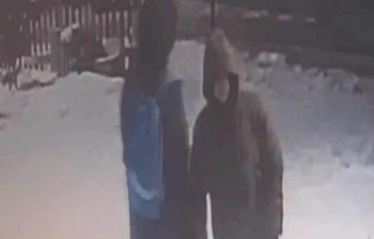 В Пензе ищут очередных похитителей елок