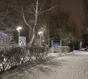 В Кузнецке обустроят место для влюбленных