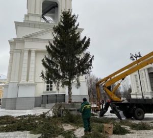 "Больно смотреть". В Пензе ветви новогодней ели обрубили наполовину