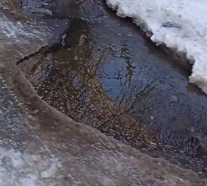 В Пензе на проспекте Победы из-под земли потекла вода