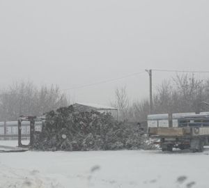 Главная елка Пачелмы рухнула