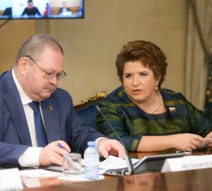 Мельниченко предложил разработать программу поддержки российских производителей детских товаров