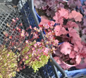 В Кузнецке перевозчики больше не хотят возить дачников на их участки