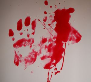 Полиция задержала пьяных отца с сыном, расчленивших женщину