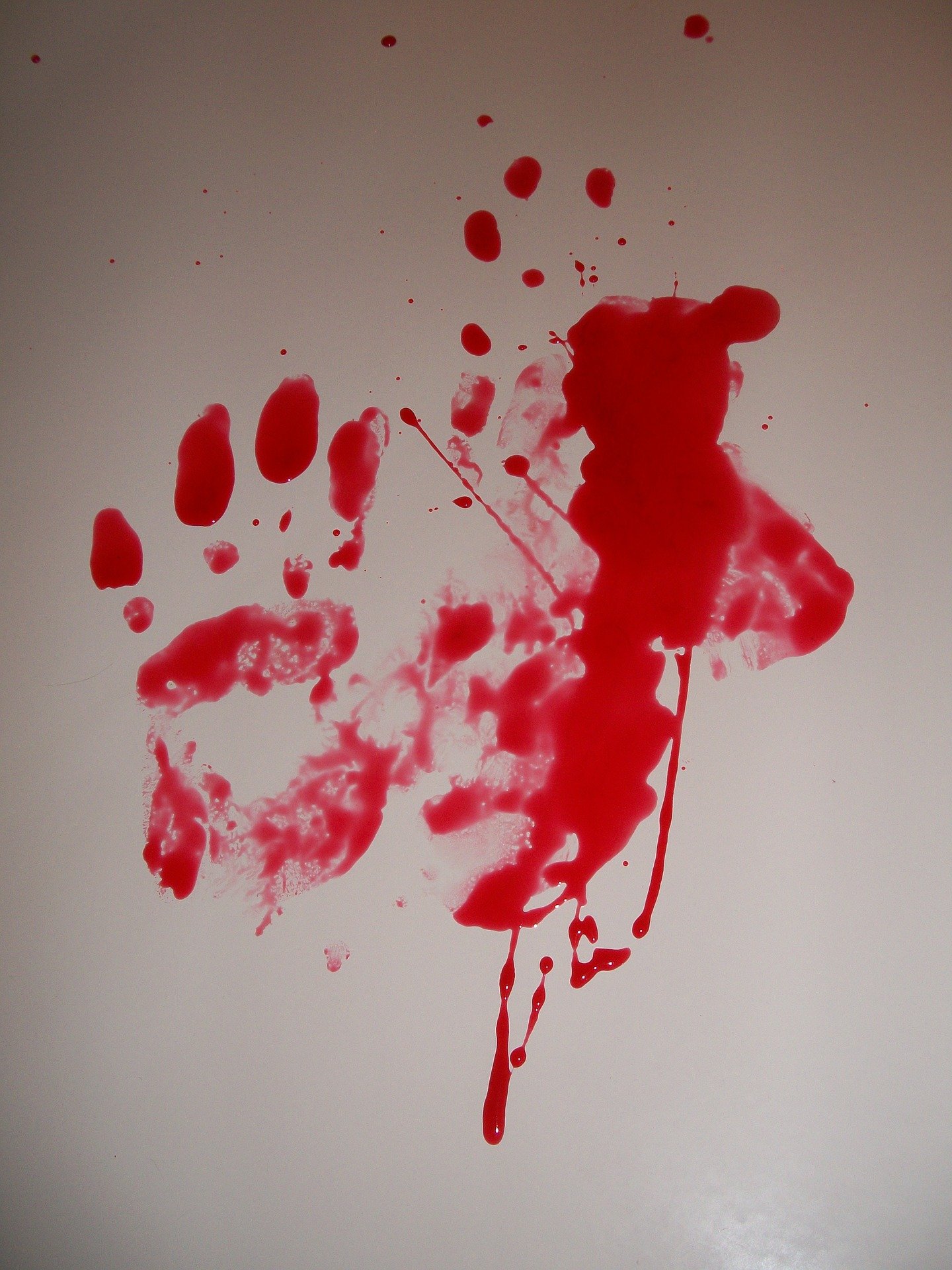 Полиция задержала пьяных отца с сыном, расчленивших женщину