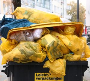 Депутаты обсудили претензии пензенцев по поводу захламленных контейнерных площадок