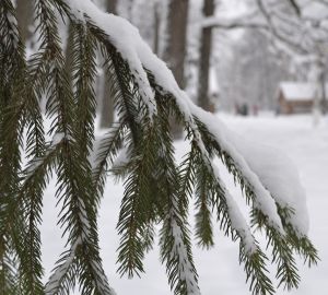 МЧС обьявило о погодной угрозе: ожидается мощный ветер и метель