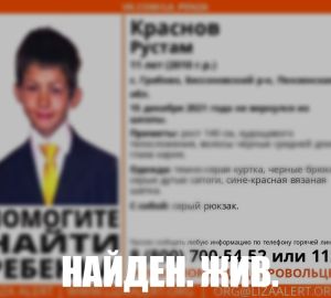 В Пензенской области 11-ленего мальчика нашли спустя сутки