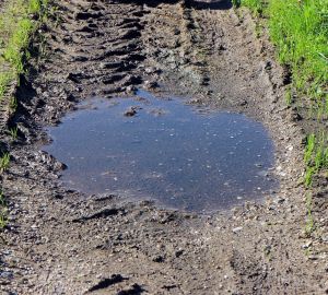 Чиновники Засечного заплатят водителю, угодившему в дорожную яму