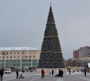 Пензенские вандалы портят новогодние елки