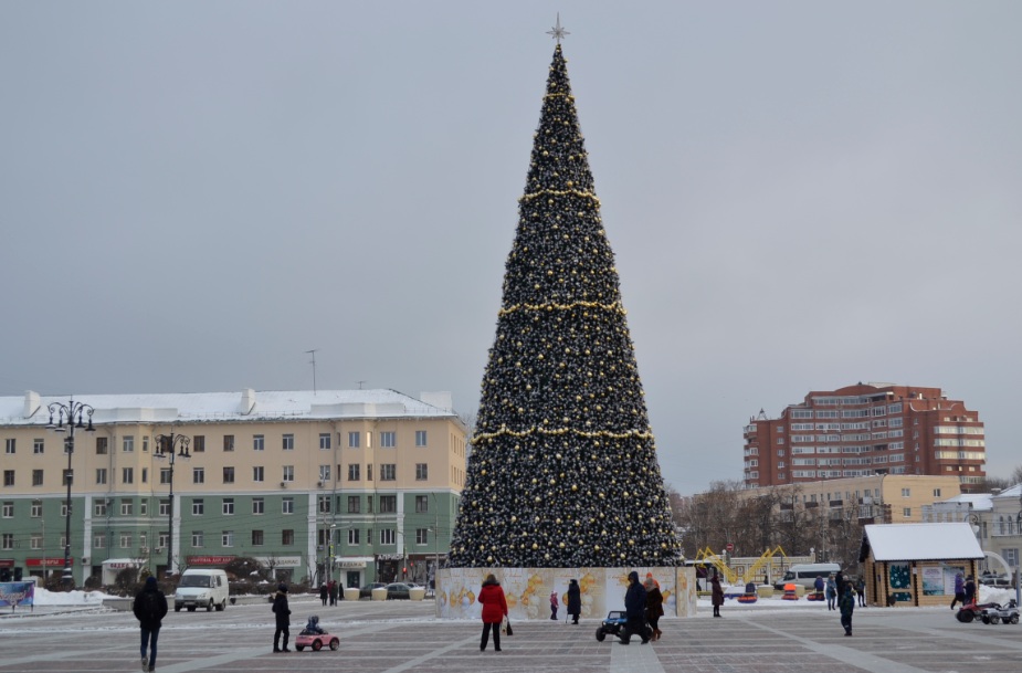 Пензенские вандалы портят новогодние елки