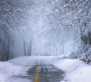Из-за гололеда число травмированных пензенцев резко выросло