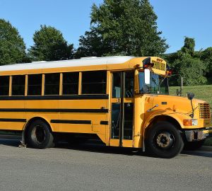 Златогорский поручил заняться профилактикой поломки школьных автобусов