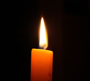 В Пензенской области за неделю коронавирус унес жизни 77 человек