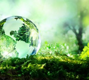 Россельхозбанк наградил компании за лучшие экологические проекты