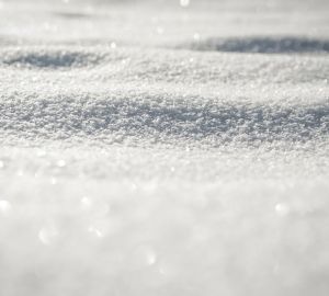 Найдено тело пропавшего 11-летнего школьника