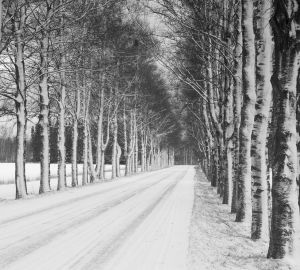 На уборку пензенских кладбищ выделят более 2-х миллионов рублей