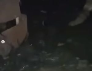 Пензенцы пожаловались на вонь в квартирах