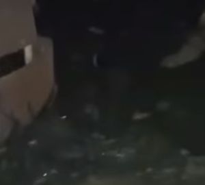 Пензенцы пожаловались на вонь в квартирах