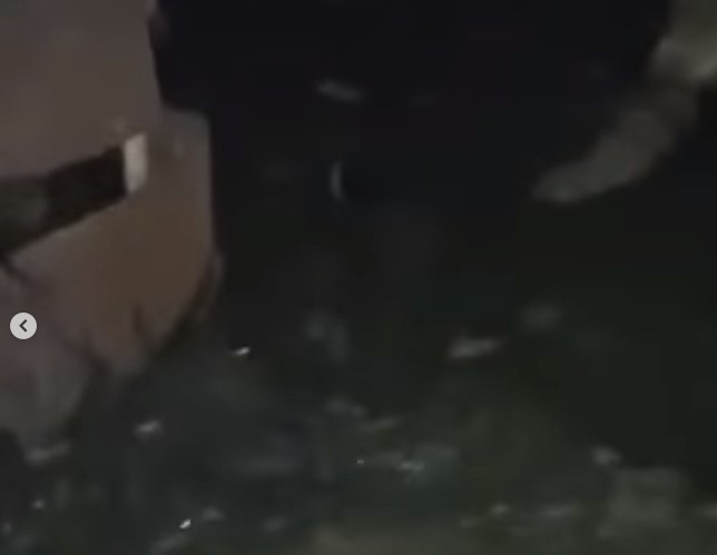 Пензенцы пожаловались на вонь в квартирах