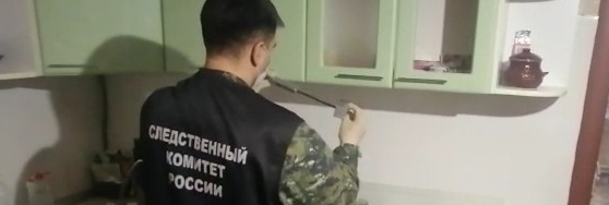 Опубликовано видео с напавшим на 10-летнего мальчика жителем Чемодановки