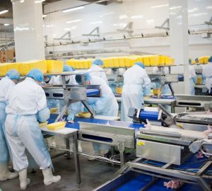 Пензенская область экспортировала продукцию АПК на сумму более 130 миллионов долларов