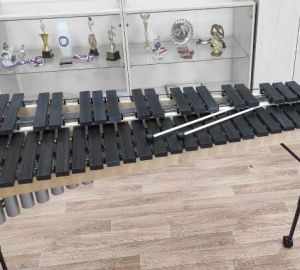 Детские музыкальные школы получили новые инструменты