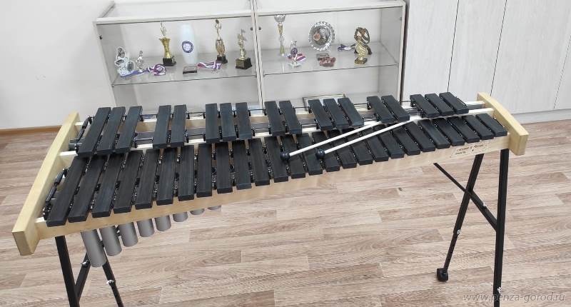 Детские музыкальные школы получили новые инструменты