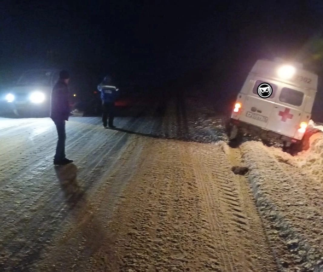 Пензенцы сообщили о машине скорой помощи, сбившей лесного жителя