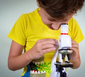 В России могут начать поощрять молодых ученых-аспирантов