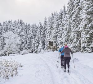 Пензенцам рассказали, на каком этапе находится обустройство лыжного стадиона