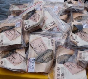 В Пензе пройдет всероссийская акция «Блокадный хлеб»