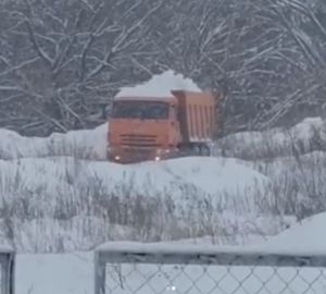 Пензенцы сообщили о загрязнении леса замусоренным снегом