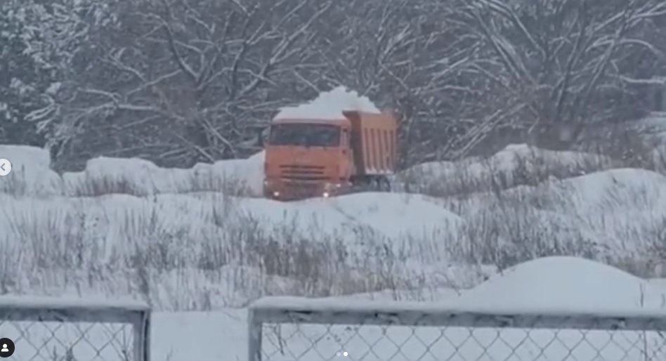 Пензенцы сообщили о загрязнении леса замусоренным снегом
