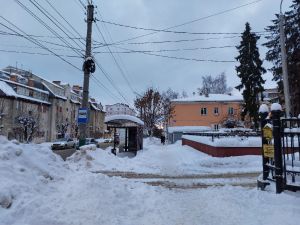 В Пензенской области ожидается сильный ветер и потепление