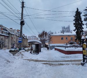 В Пензенской области ожидается сильный ветер и потепление
