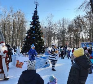 В мэрии рассказали, как пензенцы отметили Новый год