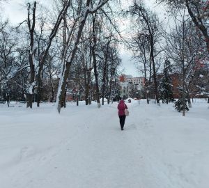 Стало известно, в каких районах нашли новых зараженных COVID