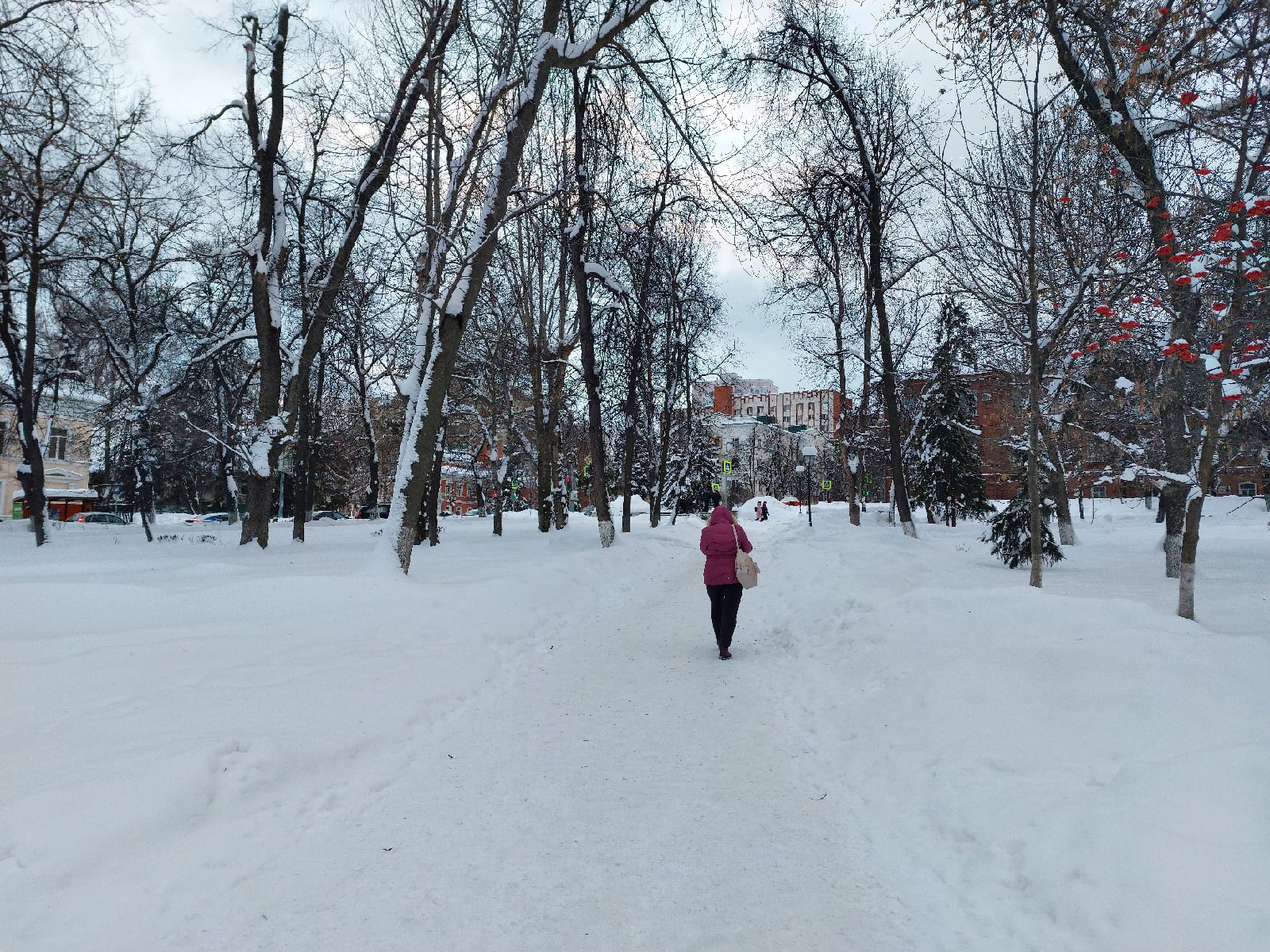 Стало известно, в каких районах нашли новых зараженных COVID
