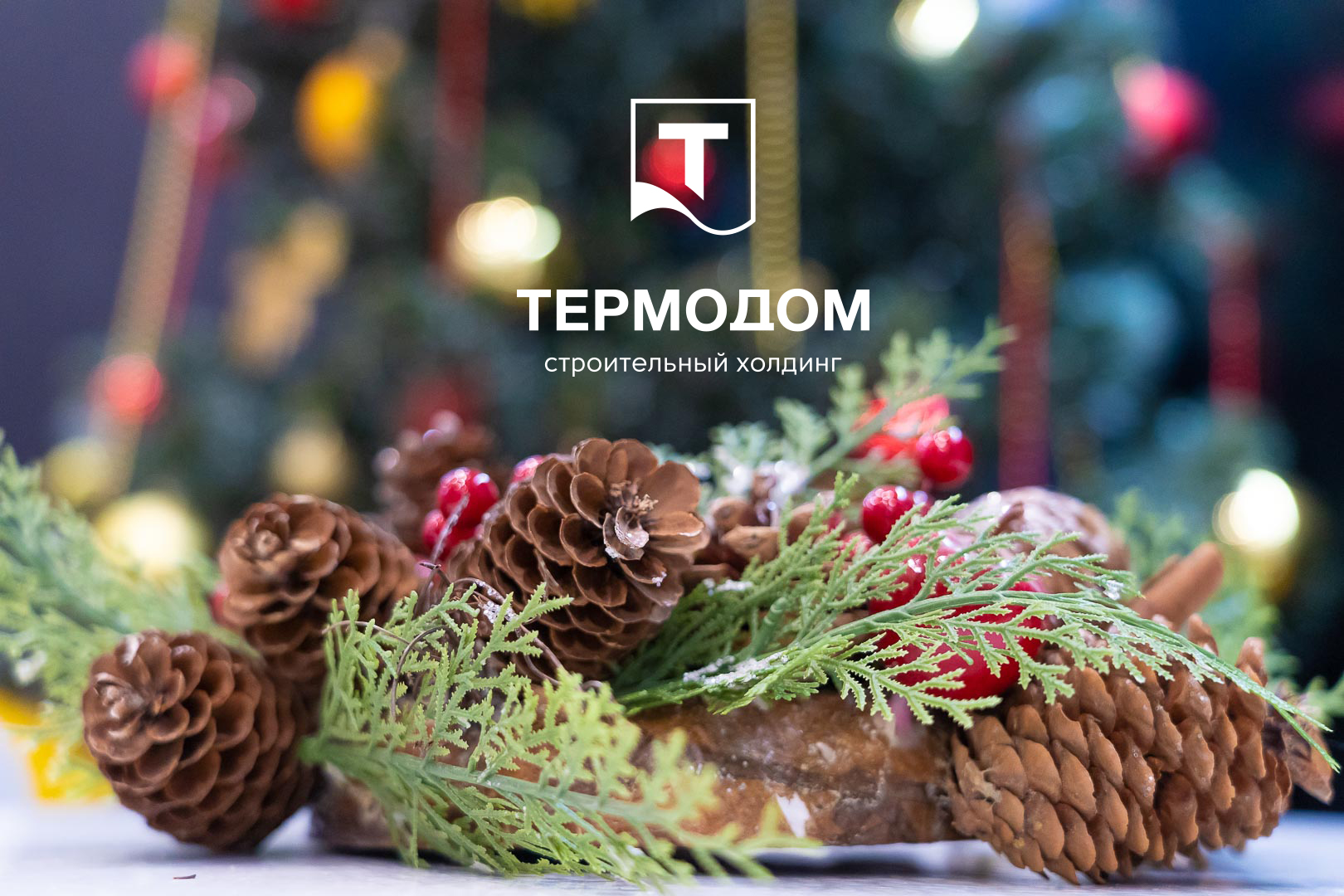 Холдинг «Термодом» приглашает за квартирами в новогодние праздники