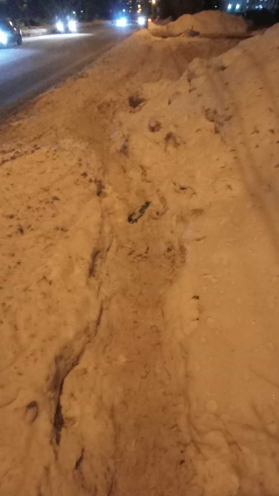 «Бег с препятствиями»: пензячка пожаловалась на неубранные тротуары