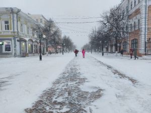 С начала года пензенцы 485 раз пожаловались на уборку снега