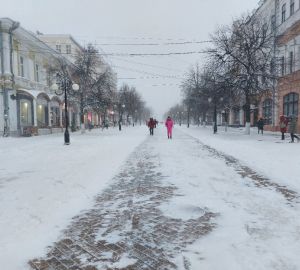 С начала года пензенцы 485 раз пожаловались на уборку снега