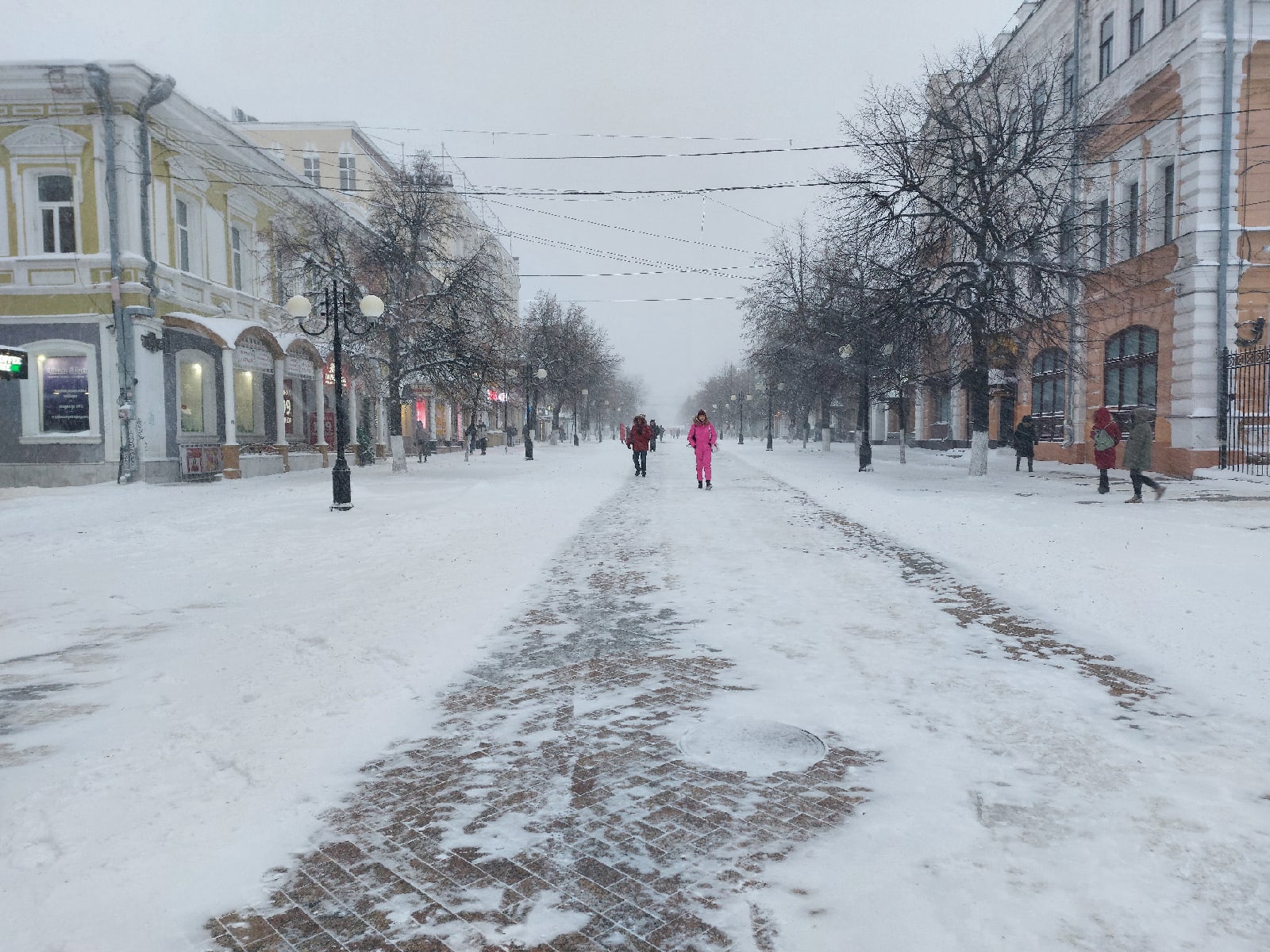 С начала года пензенцы 485 раз пожаловались на уборку снега