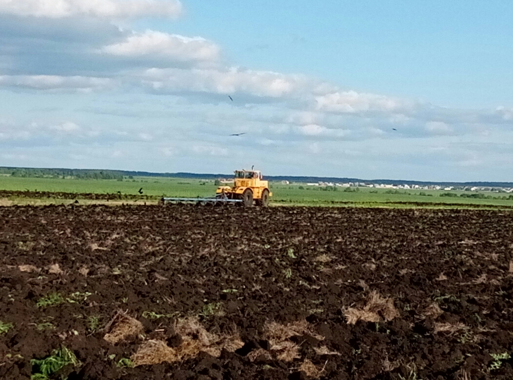 В Пензенской области сельхозпредприятие сливало отходы прямо в почву