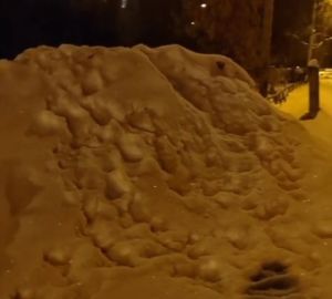 Мельниченко остался недоволен работой УК по уборке снега